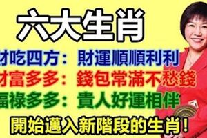 六大生肖：財吃四方，財富多多，福祿多多。開始邁入新階段