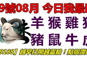 09號08月，今日我最旺！羊猴雞狗豬鼠牛虎！【99188】越早打開越靈驗！點個讚吧！