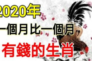 3生肖有「花錢不眨眼」的命，2020年一個月比一個月有錢