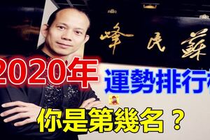 2020年生肖運勢排行榜！你是第幾名？