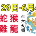 12生肖周運勢！馬、蛇、猴、羊、雞、龍！六六大順！（5月29日—6月4日）