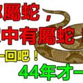 如果你不屬蛇，你最愛的人屬蛇，或家中有屬蛇，44年才一次！迷信一回吧！