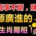 8月喜事不斷，賺錢快，財源廣進的3大生肖屬相！