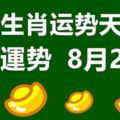 十二生肖運勢天天看，今日運勢：8月29日