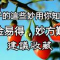 枸杞子的這些妙用你知道嗎？千金易得，妙方難求？建議收藏