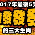 2017年最後5天，發發發發的三大生肖