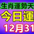 十二生肖運勢天天看，今日運勢：12月31日