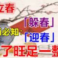 今天立春，12生肖必知的「躲春」避凶和「迎春」開運！做對了旺足一整年！