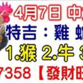 4月7日雞、蛇、鼠、猴、牛、兔！中大獎！請留言7358【發財旺旺】