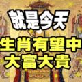 6月19日，這些生肖有望中大獎，大富大貴