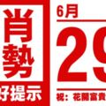 12生肖天天生肖運勢解析（6月29日）