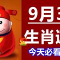 9月3號生肖運勢早知道