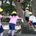 令人目瞪口呆的日本幼兒教育，這8個細節值得學習……