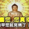 恭喜您，您真幸運，一大清早您就見佛了，請接福