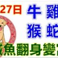 12月27日生肖運勢_牛、雞、龍大吉