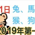 1月1日生肖運勢_兔、馬、虎大吉