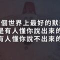 這個世界上最好的默契，並不是有人懂你說出來的故事，而是有人懂你說不出來的心事