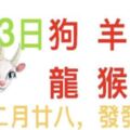 4月3日生肖運勢_狗、羊、虎大吉