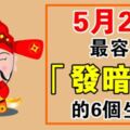 5月2日，容易「發暗財」的生肖人