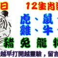 日運播報：2019年5月4日，星期六，農歷三月三十（己亥年丙辰月辛丑日），本周第一個休息日。