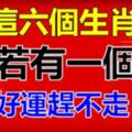 這六個生肖家若有一個，好運趕不走，坐著等數錢吧！