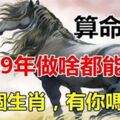 算命先生說：2019年做啥都能賺錢的五個生肖，有你嗎