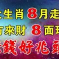 8大生肖8月走大運，8方來財，8面玲瓏，賺錢好兆頭