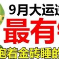 9月鹹魚大翻身，財運蒸蒸日上，抱著金磚睡大覺的生肖