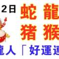 12月12日生肖運勢_蛇、龍、牛大吉