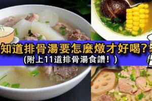 你知道排骨湯要怎麼燉才好喝？附上11道排骨湯食譜！