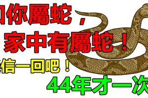 如果你不屬蛇，你最愛的人屬蛇，或家中有屬蛇，44年才一次！迷信一回吧！