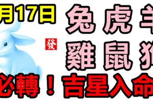 6月17日，生肖兔、虎、羊、雞、鼠、狗！吉星入命！