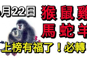 6月22日，生肖猴、鼠、雞、馬、蛇、羊！上榜有福了！