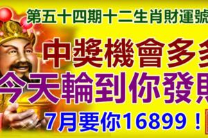 第五十四期十二生肖財運號碼。中獎機會多多，今天輪到你發財。7月要你16899！