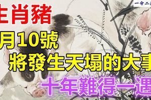 生肖豬，7月10號將發生天塌的大事，十年難得一遇！