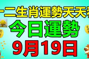 十二生肖運勢天天看，今日運勢：9月19日