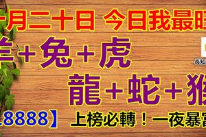 十月二十日，今日我最旺！羊+兔+虎+龍+蛇+猴！18888上榜必轉！一夜暴富！