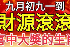 九月初九一到，財源滾滾、喜中大獎的四大生肖！