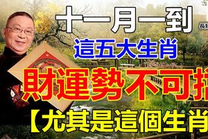 十一月一到這五大生肖財運勢不可擋【尤其是這個生肖】