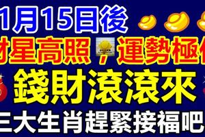 11月15日後財星高照，運勢極佳，錢財滾滾來的三大生肖趕緊接福吧