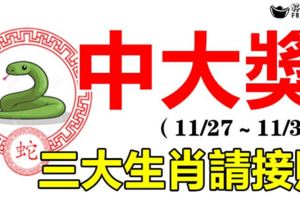 11月27，28，29，30日接財中大獎的三大生肖，這些生肖接財運中大獎