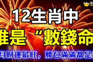 12生肖中的誰是「數錢命」，本月財運最旺，腰包滿滿都是錢！