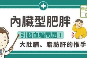 內臟型肥胖：引發血糖問題！大肚腩、脂肪肝的推手