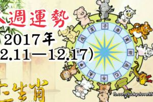 十二生肖本週運勢2017年(12.11—12.17)