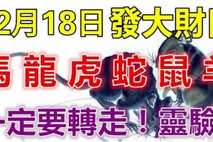 12月18日，發大財日！屬馬、龍、虎、蛇、鼠、羊的人必轉！真的靈！