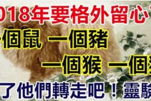 2018年要格外留心了，一個鼠，一個豬，一個猴，一個狗！