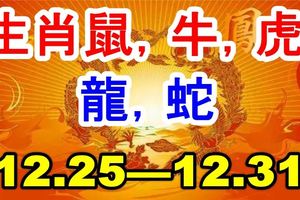 生肖鼠、牛、虎、兔、龍、蛇下周（12.25—12.31）運勢分析！接囍接囍