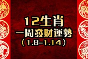 12生肖一周發財運勢【1.8-1.14】