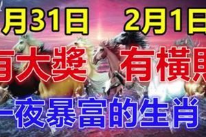 1月31日有大獎，2月1日有橫財！大運連連，財運爆棚的生肖！