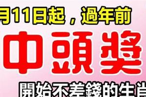 2月11日起不差錢，這些生肖，過年前中獎就是頭獎！